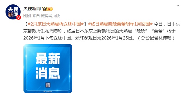 日本东京都政府：大熊猫“晓晓”“蕾蕾”将于2026年1月下旬送还中国