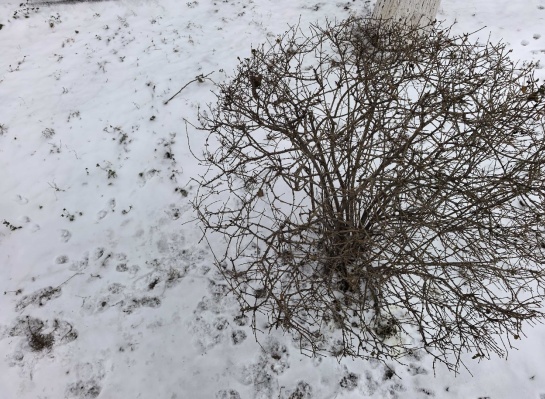 辽宁“限定”回暖!大幅降温马上就到…… 辽宁“限定”回暖!大幅降温马上就到……