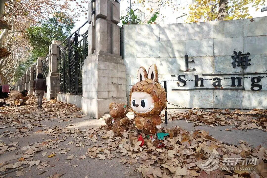 上海多条马路限定风景刷屏出圈！美出新高度，已进入倒计时，想打卡要抓紧→