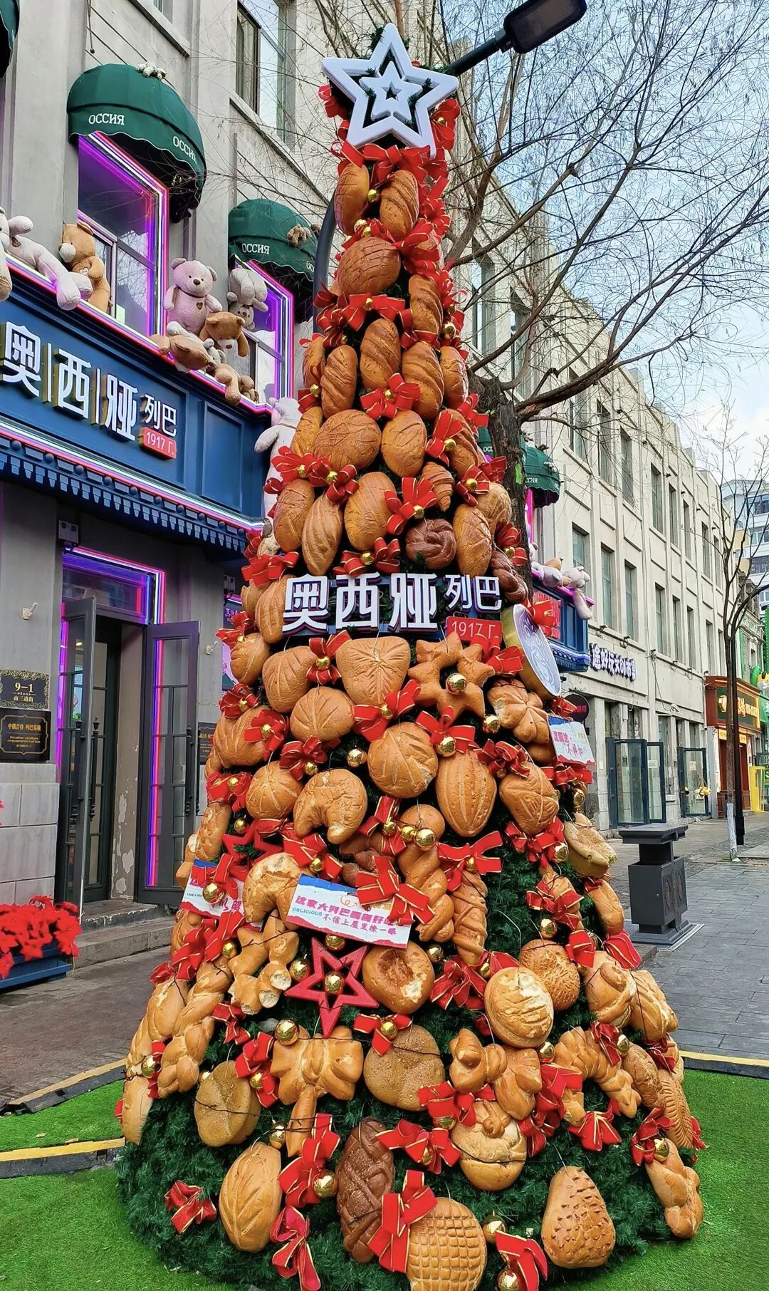 哈尔滨面包圣诞树成小鸟“冬日食堂”！面包店：吃完就补，还计划做面包鸟窝助过冬