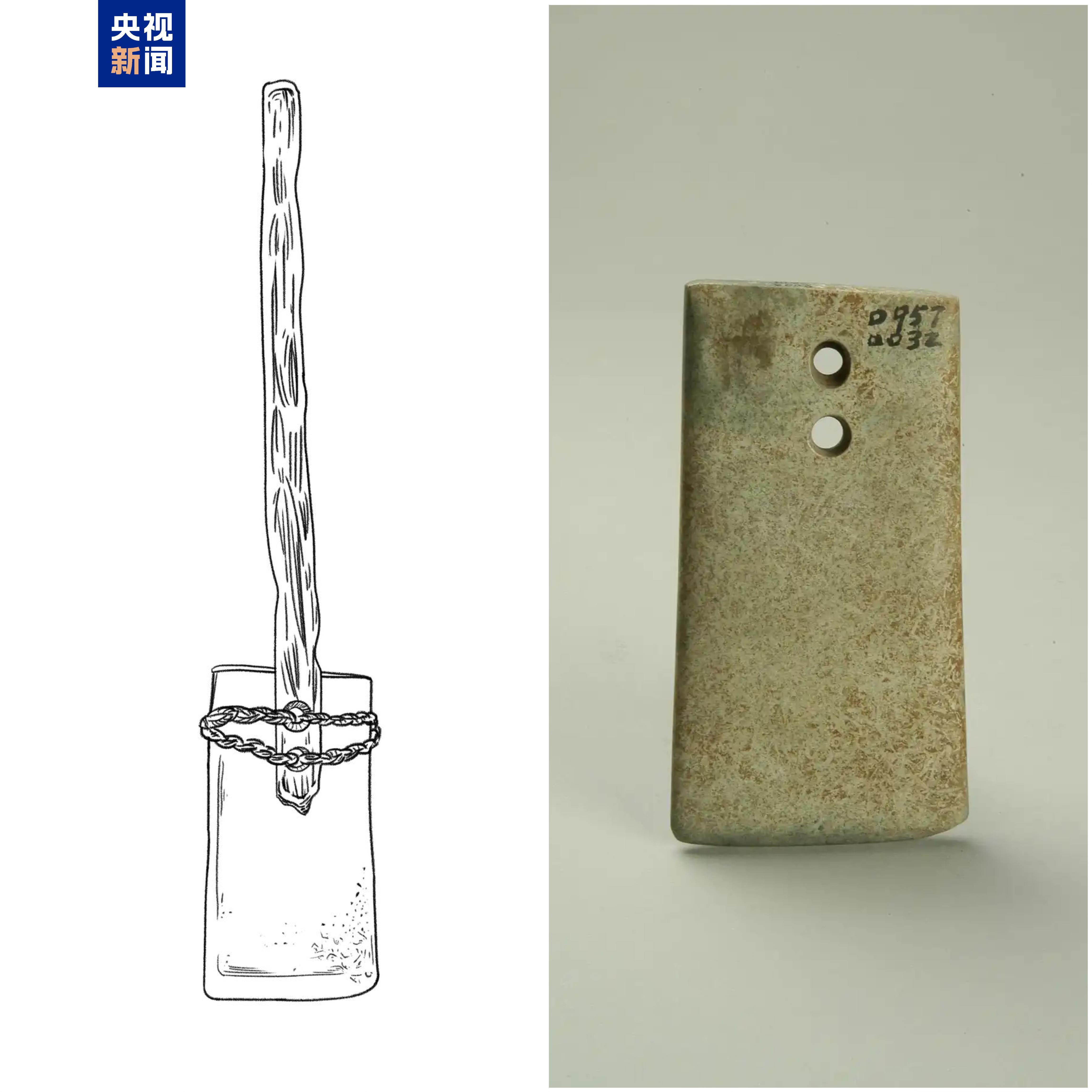 这件4500岁的农具为啥不干农活？