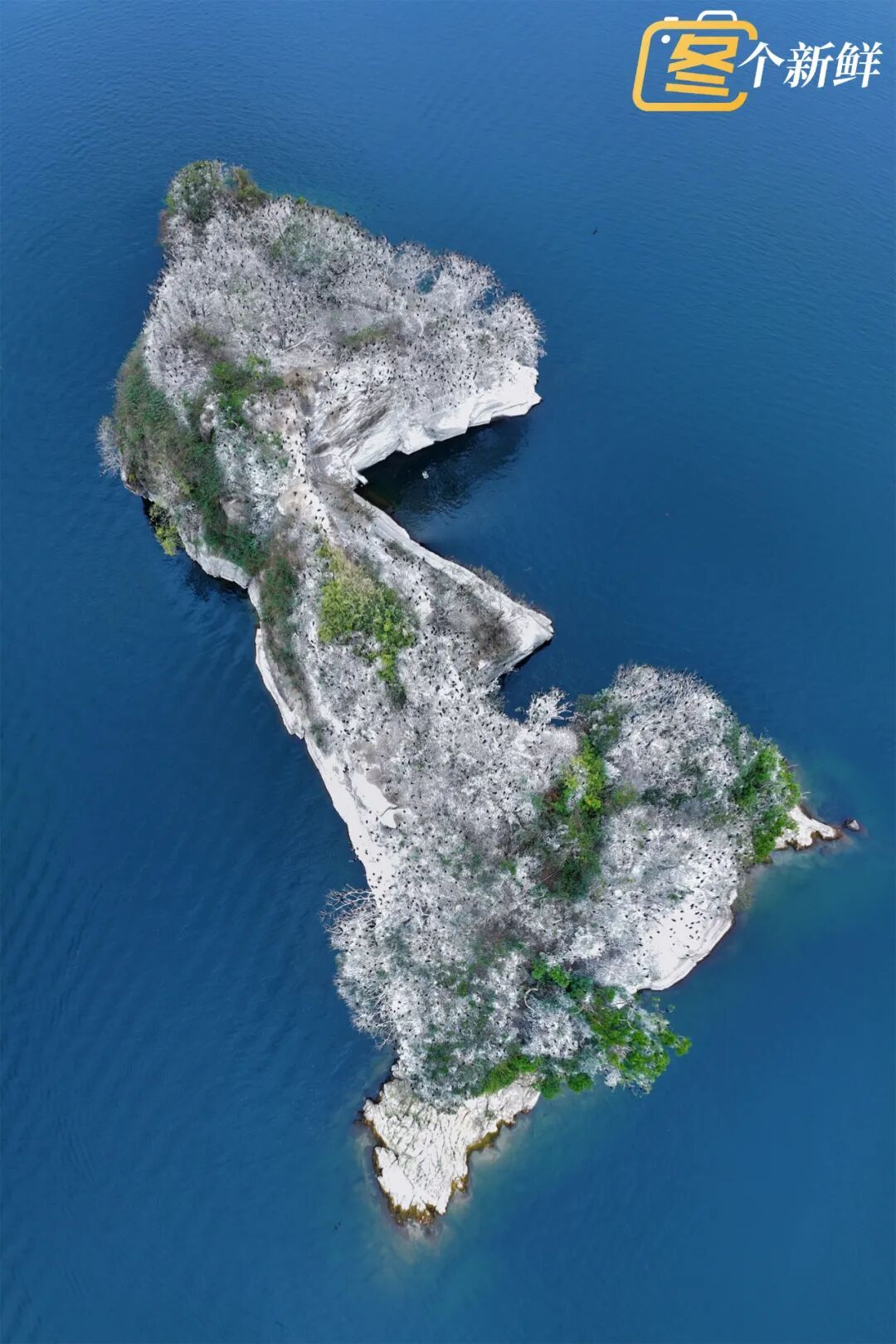 震撼!杭州千岛湖惊现一座“黑色小岛” 震撼!杭州千岛湖惊现一座“黑色小岛”