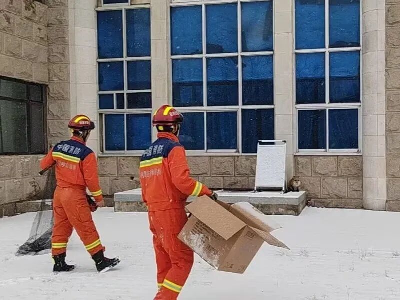 内蒙古工业大学校园惊现“萌物”！消防员都赶来了！结果…