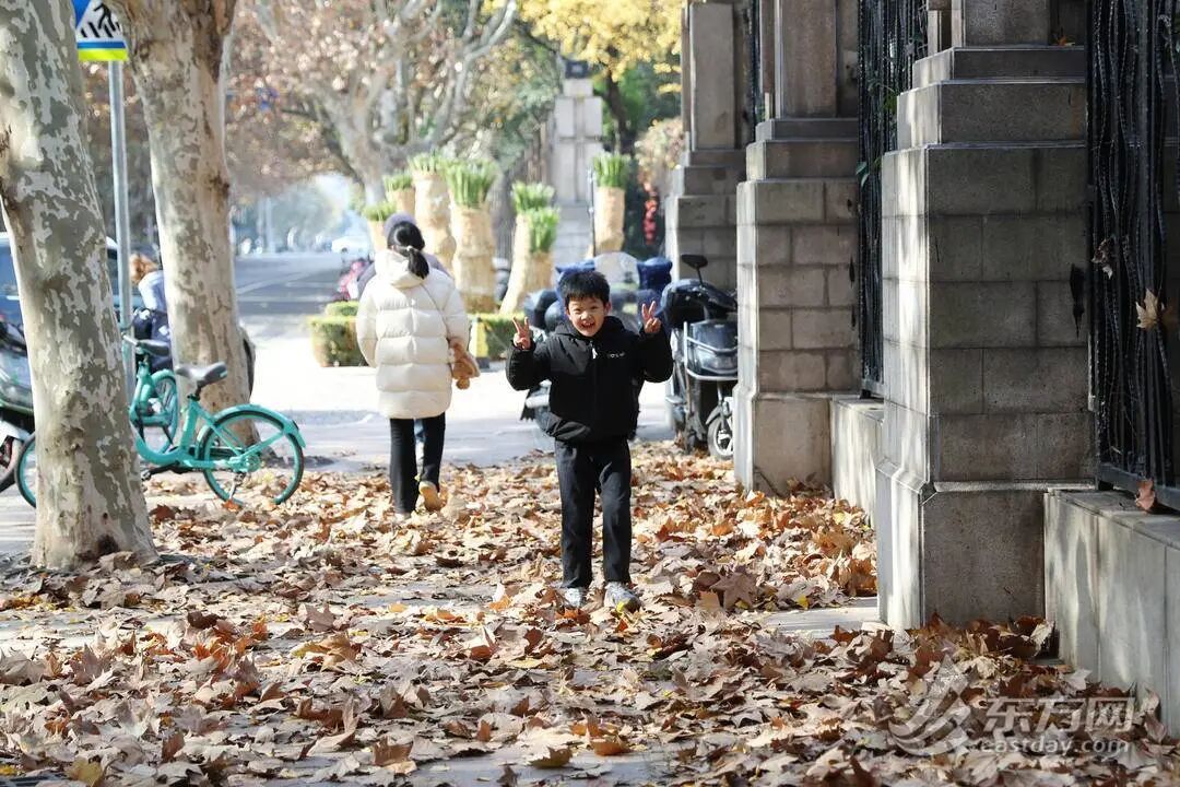 上海多条马路限定风景刷屏出圈！美出新高度，已进入倒计时，想打卡要抓紧→