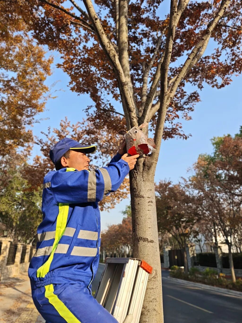 上海多条马路限定风景刷屏出圈！美出新高度，已进入倒计时，想打卡要抓紧→