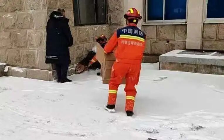 内蒙古工业大学校园惊现“萌物”！消防员都赶来了！结果…