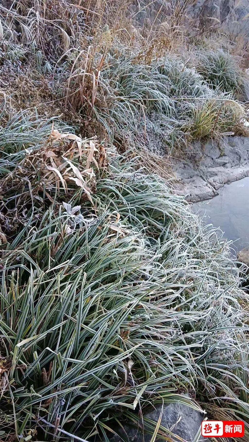 -7℃!绍兴初雪有消息了 -7℃!绍兴初雪有消息了