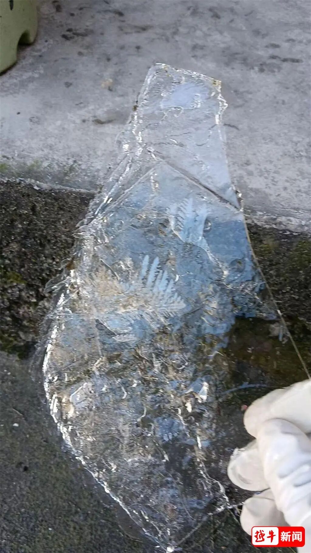 -7℃!绍兴初雪有消息了 -7℃!绍兴初雪有消息了