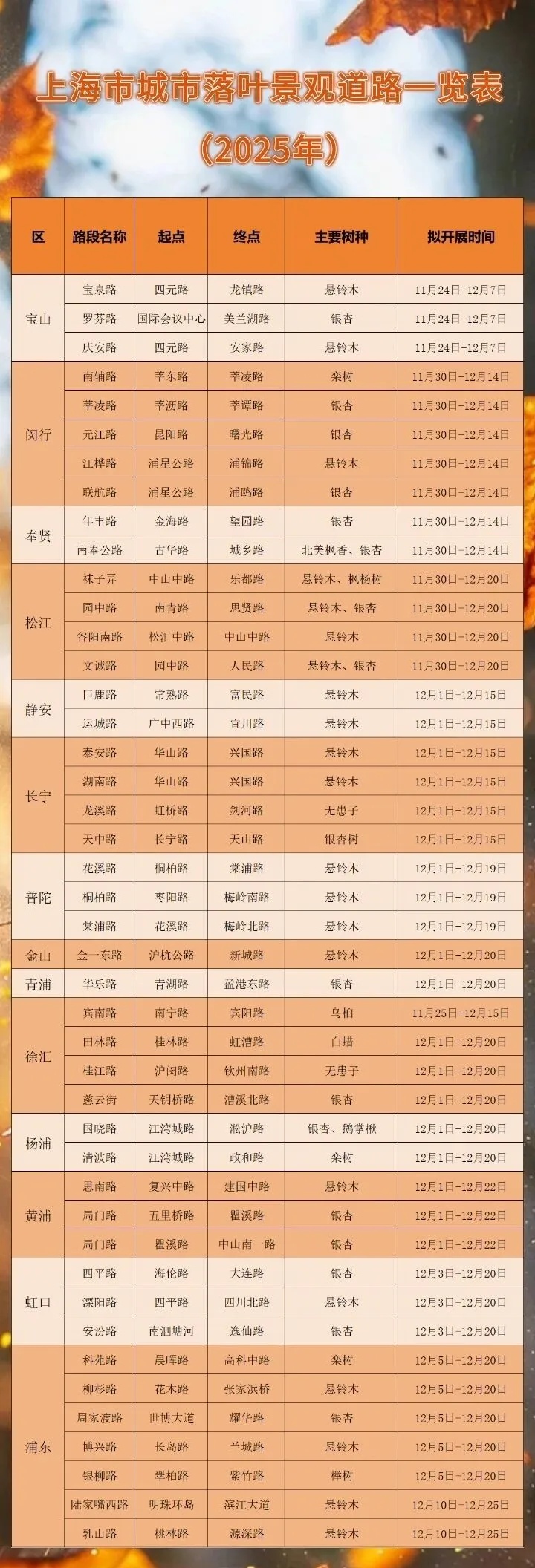 上海多条马路限定风景刷屏出圈！美出新高度，已进入倒计时，想打卡要抓紧→