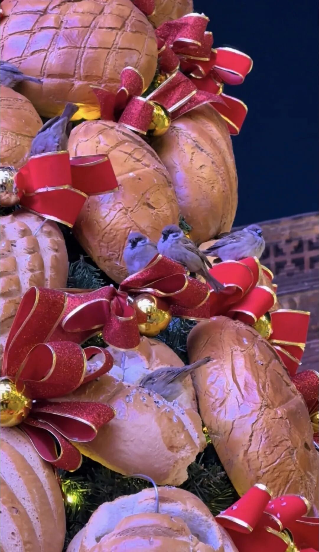 哈尔滨面包圣诞树成小鸟“冬日食堂”！面包店：吃完就补，还计划做面包鸟窝助过冬