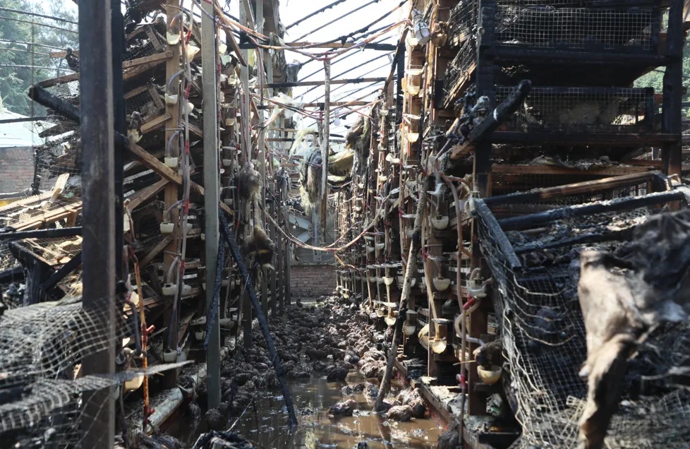 男子“逃票”上岗,被警察带回工位现场指认 男子“逃票”上岗,被警察带回工位现场指认