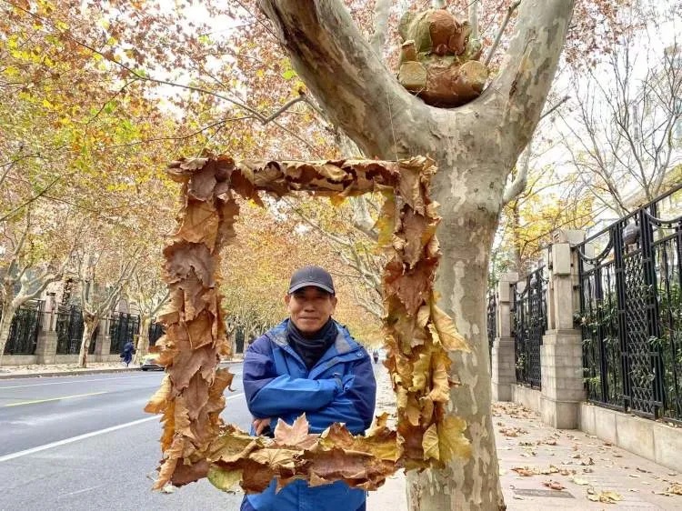 上海多条马路限定风景刷屏出圈！美出新高度，已进入倒计时，想打卡要抓紧→