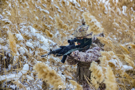 武警雪中训练硬核大片