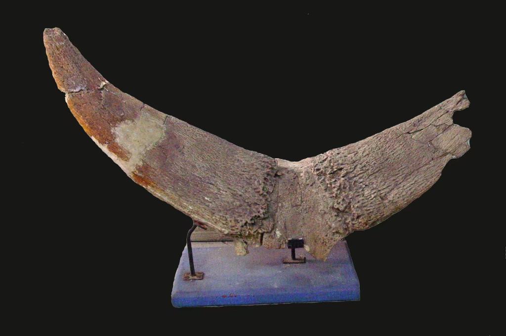 萨拉乌苏遗址百年薪火再添新证 萨拉乌苏遗址百年薪火再添新证