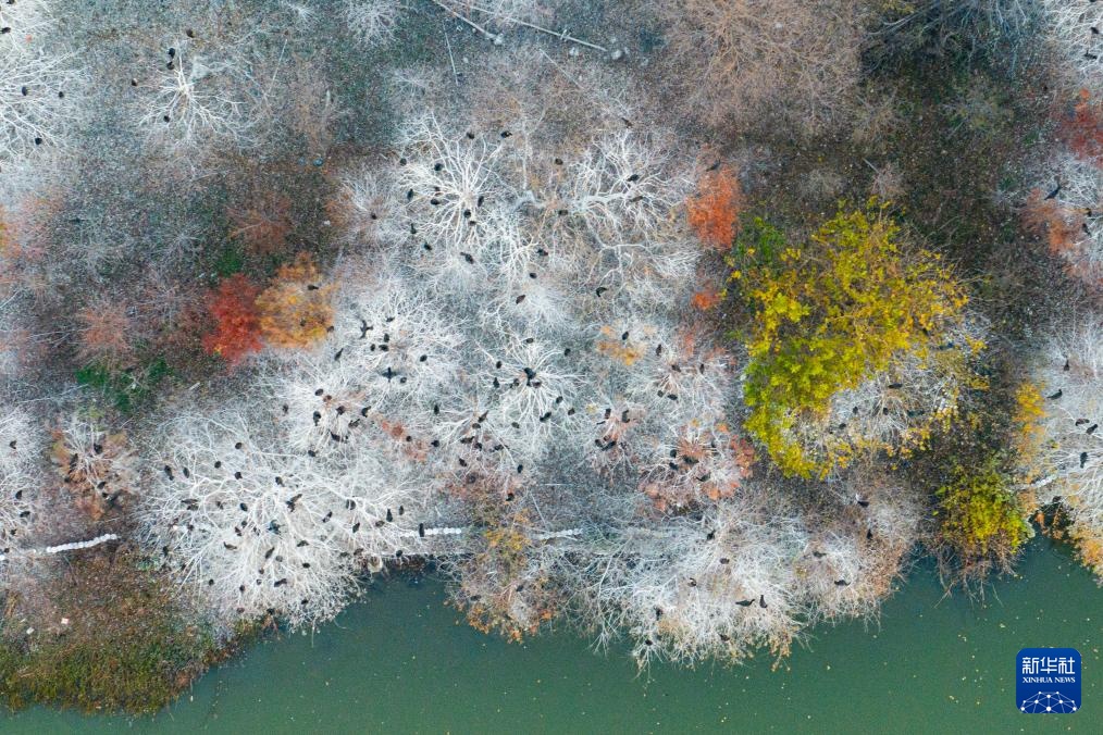 美丽中国丨日出日落画江城 杳杳长空敛云烟 美丽中国丨日出日落画江城 杳杳长空敛云烟