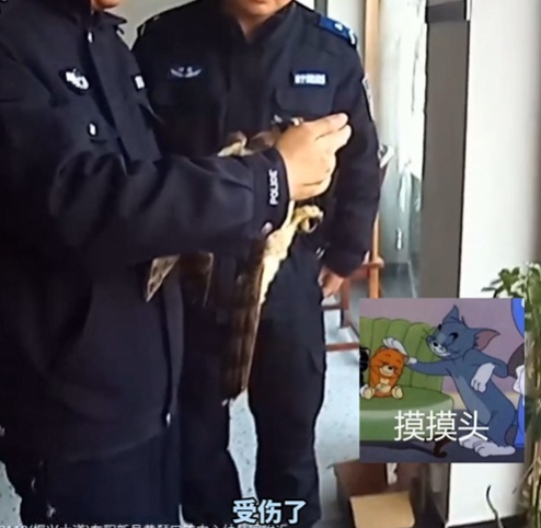 “鹰脸扫地”挽尊版——家人们,我刚用脸接了栋楼 “鹰脸扫地”挽尊版——家人们,我刚用脸接了栋楼