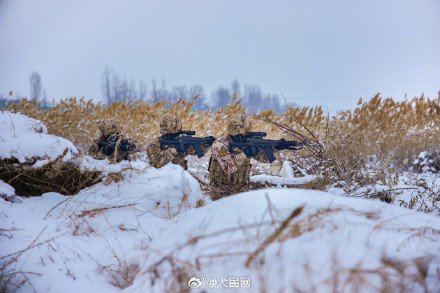 武警雪中训练硬核大片