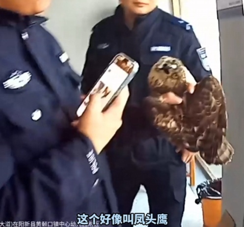 “鹰脸扫地”挽尊版——家人们,我刚用脸接了栋楼 “鹰脸扫地”挽尊版——家人们,我刚用脸接了栋楼