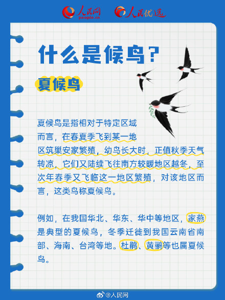 长知识了!9图解码候鸟迁徙 长知识了!9图解码候鸟迁徙