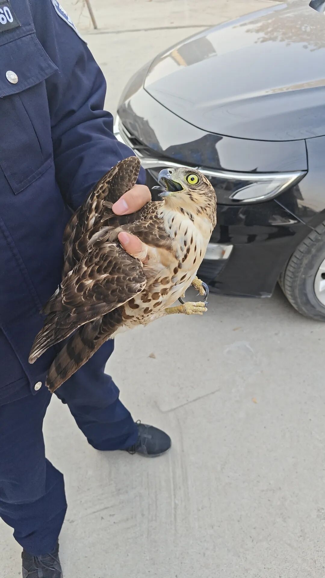 “鹰脸扫地”挽尊版——家人们,我刚用脸接了栋楼 “鹰脸扫地”挽尊版——家人们,我刚用脸接了栋楼