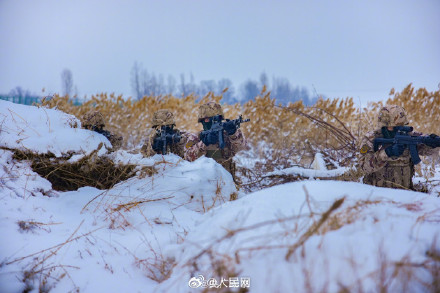 武警雪中训练硬核大片