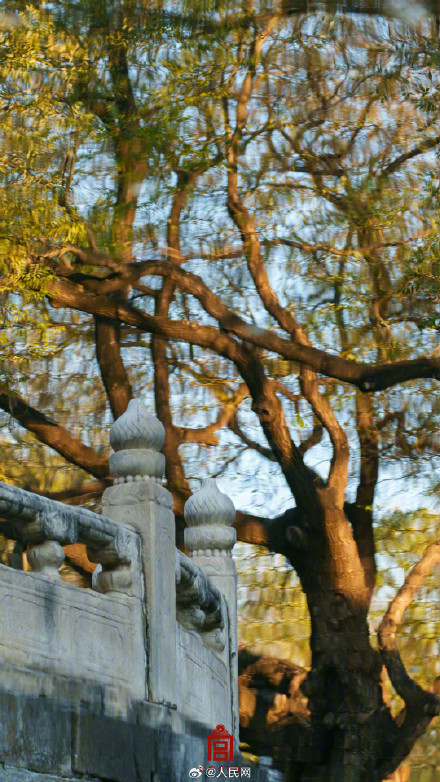 转存！故宫光影壁纸上新