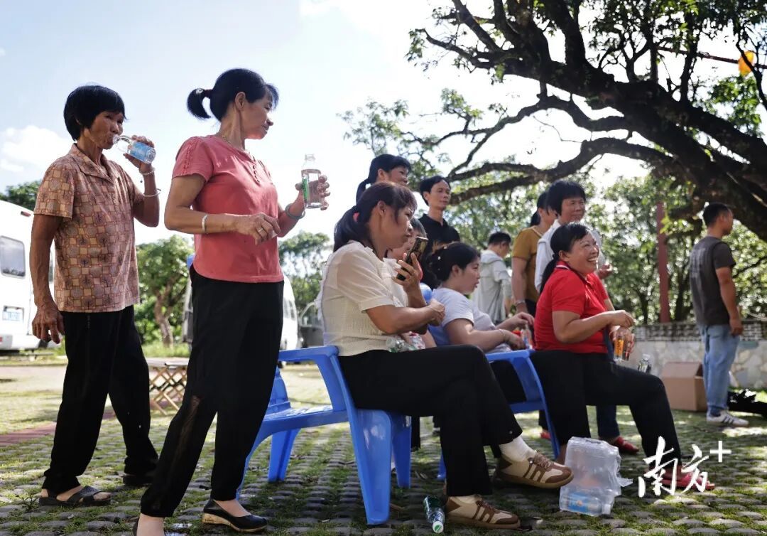 广东这个村火了!村民:当初只是为了“赚个鸡蛋钱” 广东这个村火了!村民:当初只是为了“赚个鸡蛋钱”