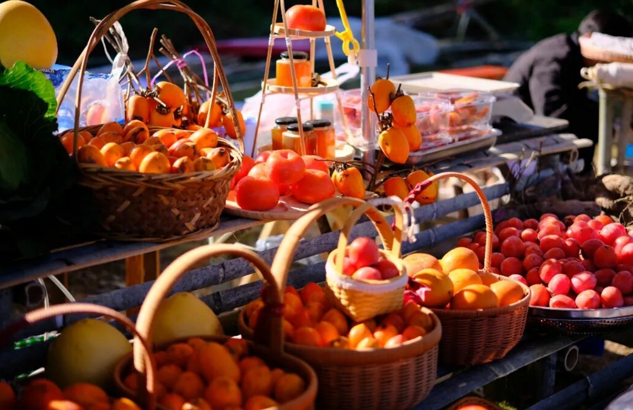 温州永嘉:小柿子撬动大“柿业” 温州永嘉:小柿子撬动大“柿业”