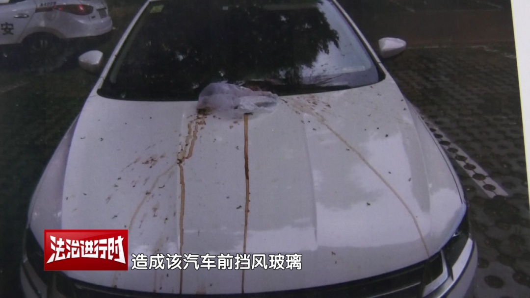 高空抛物砸坏车辆 六旬老人被公诉 高空抛物砸坏车辆 六旬老人被公诉