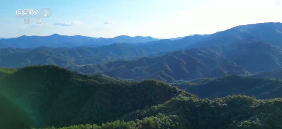 绿色资源变“绿色财富” 多元“借绿生金”路径助力百姓“点绿成金”“点海成金” 绿色资源变“绿色财富” 多元“借绿生金”路径助力百姓“点绿成金”“点海成金”