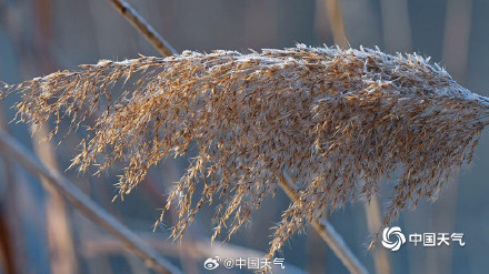 北京圆明园残雪映西山 北京圆明园残雪映西山