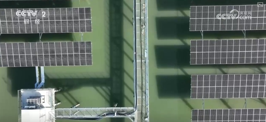 绿色资源变“绿色财富” 多元“借绿生金”路径助力百姓“点绿成金”“点海成金” 绿色资源变“绿色财富” 多元“借绿生金”路径助力百姓“点绿成金”“点海成金”