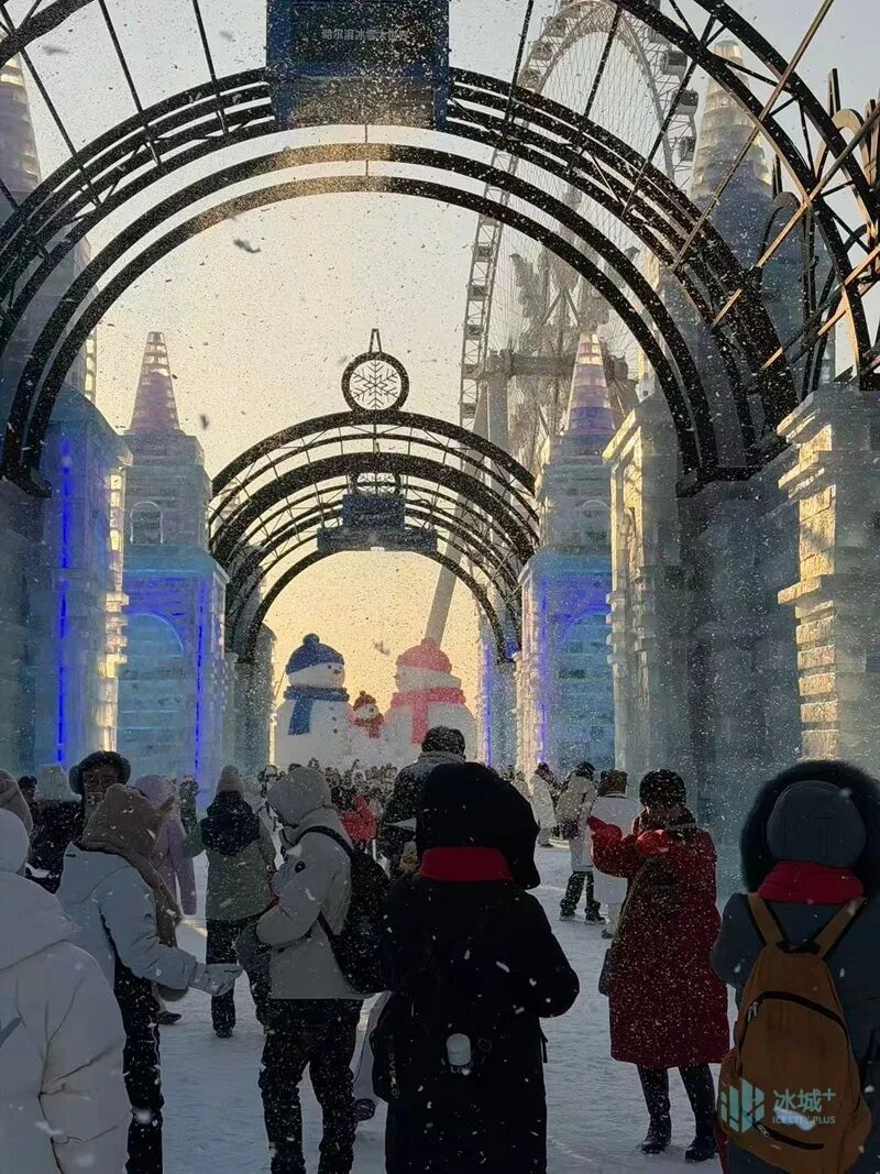 冰雪大世界就是宠客!要看下雪的哈尔滨?马上安排! 冰雪大世界就是宠客!要看下雪的哈尔滨?马上安排!