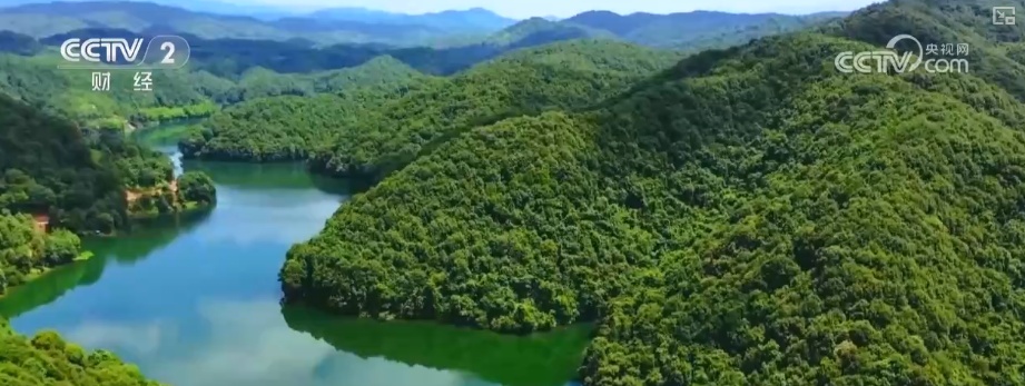 绿色资源变“绿色财富” 多元“借绿生金”路径助力百姓“点绿成金”“点海成金” 绿色资源变“绿色财富” 多元“借绿生金”路径助力百姓“点绿成金”“点海成金”