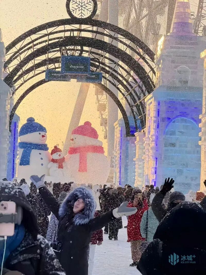 冰雪大世界就是宠客!要看下雪的哈尔滨?马上安排! 冰雪大世界就是宠客!要看下雪的哈尔滨?马上安排!