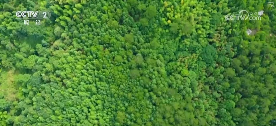 绿色资源变“绿色财富” 多元“借绿生金”路径助力百姓“点绿成金”“点海成金” 绿色资源变“绿色财富” 多元“借绿生金”路径助力百姓“点绿成金”“点海成金”
