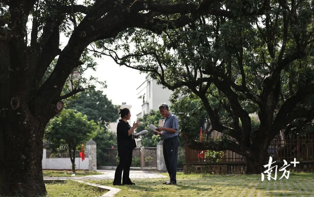 广东这个村火了!村民:当初只是为了“赚个鸡蛋钱” 广东这个村火了!村民:当初只是为了“赚个鸡蛋钱”