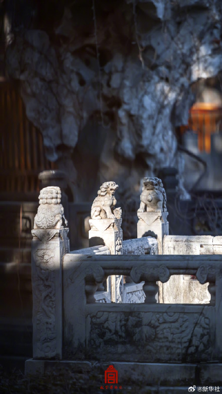 绝美！故宫美图怎么看都好看