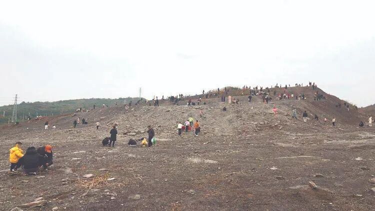 重庆中央公园的“化石”不能挖了!现场已拉起警戒线 重庆中央公园的“化石”不能挖了!现场已拉起警戒线