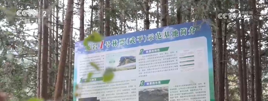 绿色资源变“绿色财富” 多元“借绿生金”路径助力百姓“点绿成金”“点海成金” 绿色资源变“绿色财富” 多元“借绿生金”路径助力百姓“点绿成金”“点海成金”