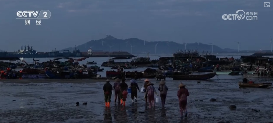 绿色资源变“绿色财富” 多元“借绿生金”路径助力百姓“点绿成金”“点海成金” 绿色资源变“绿色财富” 多元“借绿生金”路径助力百姓“点绿成金”“点海成金”