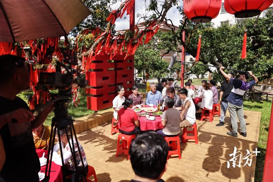 广东这个村火了!村民:当初只是为了“赚个鸡蛋钱” 广东这个村火了!村民:当初只是为了“赚个鸡蛋钱”