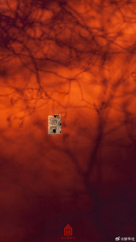 绝美！故宫美图怎么看都好看