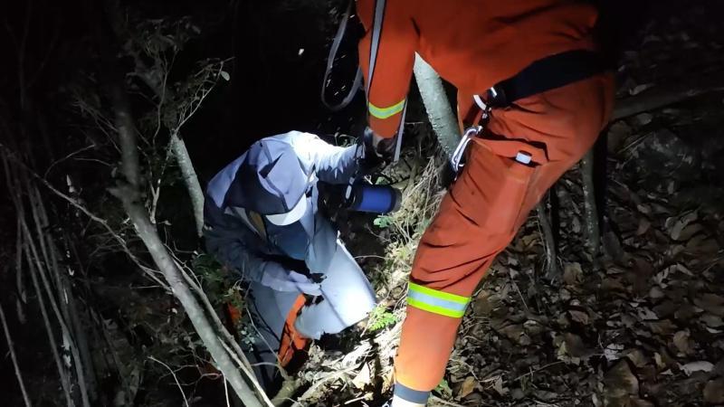 江西庐山:游客徒步摔伤被困 消防救援人员进山营救 江西庐山:游客徒步摔伤被困 消防救援人员进山营救