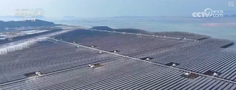 绿色资源变“绿色财富” 多元“借绿生金”路径助力百姓“点绿成金”“点海成金” 绿色资源变“绿色财富” 多元“借绿生金”路径助力百姓“点绿成金”“点海成金”