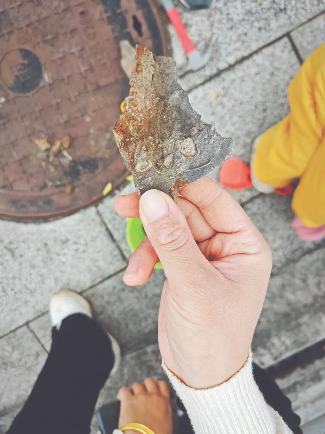 重庆中央公园的“化石”不能挖了!现场已拉起警戒线 重庆中央公园的“化石”不能挖了!现场已拉起警戒线