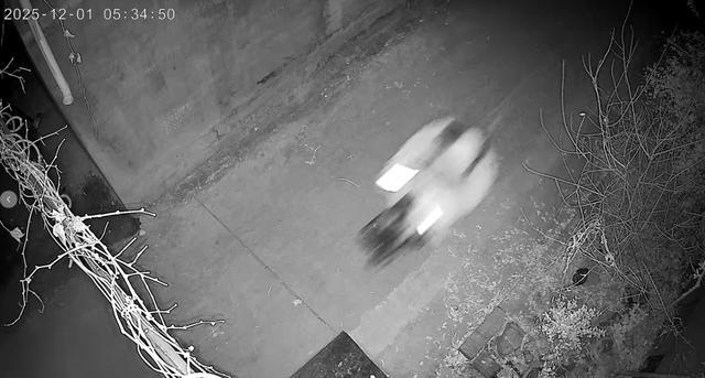 专盯礼金?这个“新婚夜”盗贼,落网了! 专盯礼金?这个“新婚夜”盗贼,落网了!