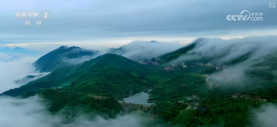 绿色资源变“绿色财富” 多元“借绿生金”路径助力百姓“点绿成金”“点海成金” 绿色资源变“绿色财富” 多元“借绿生金”路径助力百姓“点绿成金”“点海成金”