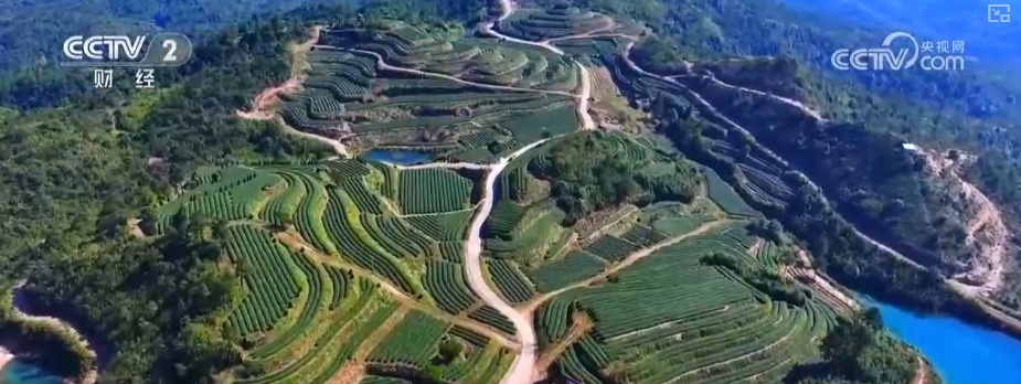 绿色资源变“绿色财富” 多元“借绿生金”路径助力百姓“点绿成金”“点海成金” 绿色资源变“绿色财富” 多元“借绿生金”路径助力百姓“点绿成金”“点海成金”