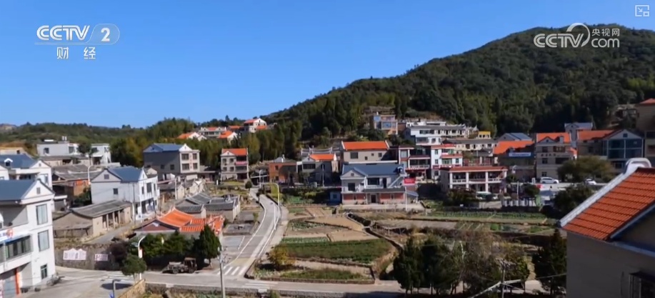 绿色资源变“绿色财富” 多元“借绿生金”路径助力百姓“点绿成金”“点海成金” 绿色资源变“绿色财富” 多元“借绿生金”路径助力百姓“点绿成金”“点海成金”